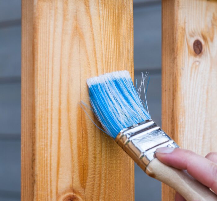 pexels-pixabay-221027