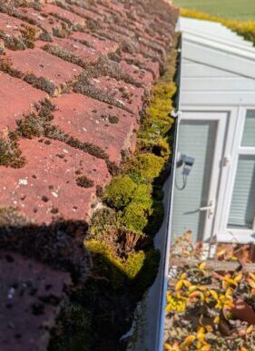 Gutter needing cleaning