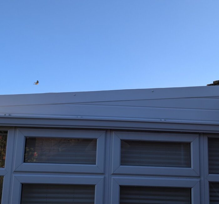 Pressure washing after